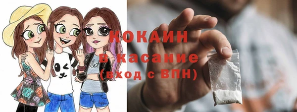 шишки Щигры