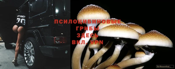 хмурый Щучье