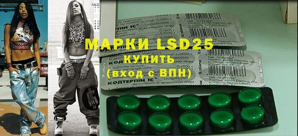 шишки Щигры