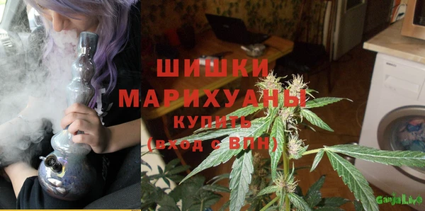 спиды Заводоуковск