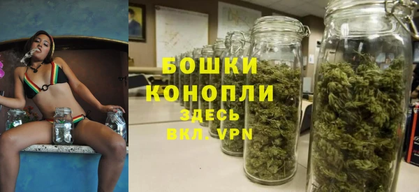 спиды Заводоуковск
