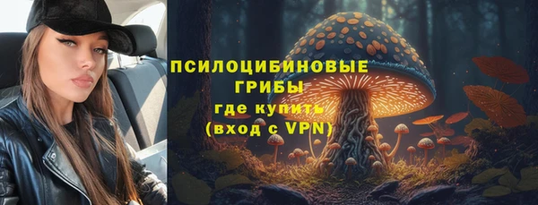 спиды Заводоуковск