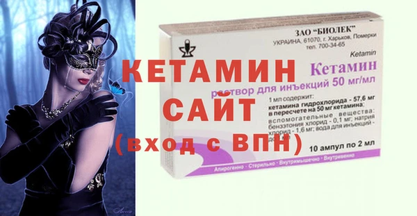 шишки Щигры