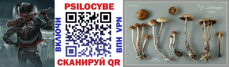 Галлюциногенные грибы MAGIC MUSHROOMS  закладки  Энем 